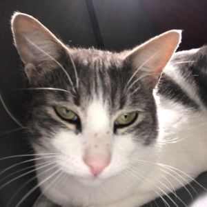 Meet your Posher, Marie